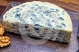 Cheese collection, piece of French blue cheese auvergne or fourme d`ambert