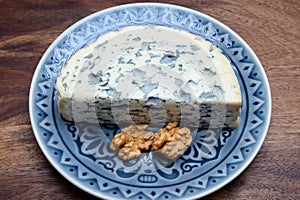 Cheese collection, piece of French blue cheese auvergne or fourme d`ambert