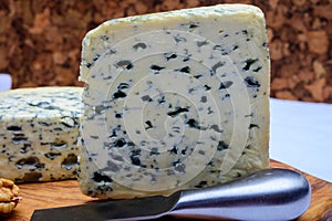 Cheese collection, piece of French blue cheese auvergne and fourme d`ambert