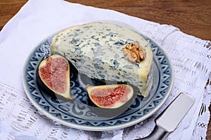 Cheese collection, piece of French blue cheese auvergne or fourme d`ambert