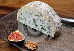 Cheese collection, piece of French blue cheese auvergne or fourme d`ambert