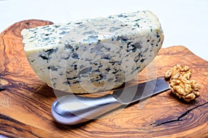 Cheese collection, piece of French blue cheese auvergne or fourme d`ambert