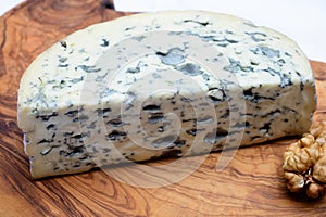 Cheese collection, piece of French blue cheese auvergne or fourme d`ambert