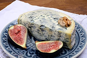 Cheese collection, piece of French blue cheese auvergne or fourme d`ambert