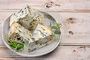 Cheese collection, piece of French blue cheese auvergne or fourme d`ambert