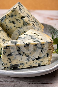 Cheese collection, piece of French blue cheese auvergne or fourme d`ambert