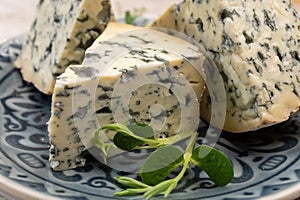 Cheese collection, piece of French blue cheese auvergne or fourme d`ambert