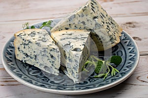 Cheese collection, piece of French blue cheese auvergne or fourme d`ambert