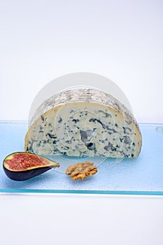 Cheese collection, piece of French blue cheese auvergne or fourme d`ambert