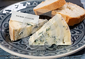 Cheese collection, piece of French blue cheese auvergne or fourme d\'ambert