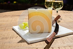 Cheese collection, piece of spanisch hard manchego cheese made in La Mancha region from sheep milk and glasses of sherry wine