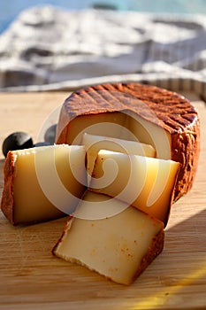 Cheese collection, piece of Spanish manchego cheese made from cow milk with red paprika