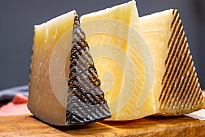 Cheese collection, pieces of hard Spanish manchego curado, viejo and iberico cheeses