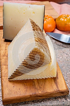Cheese collection, pieces of hard Spanish manchego curado, viejo and iberico cheeses photo