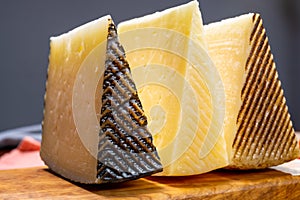 Cheese collection, pieces of hard Spanish manchego curado, viejo and iberico cheeses photo