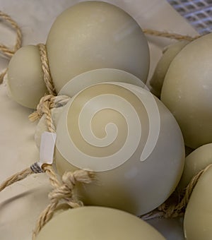 Cheese collection, Scamorza hard South Italian cow`s milk cheese