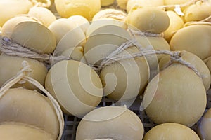 Cheese collection, Scamorza hard South Italian cow`s milk cheese