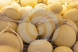 Cheese collection, Scamorza hard South Italian cow`s milk cheese