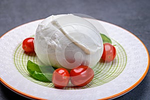 Cheese collection, soft white Italian mozzarella di bufala campana with fresh green basil leaves and red cherry tomatoes photo