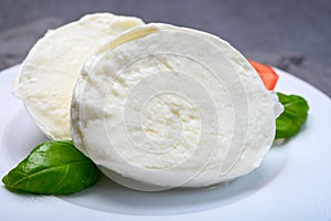 Cheese collection, soft white Italian mozzarella di bufala campana with fresh green basil leaves and red tomatoes photo