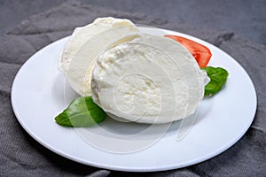 Cheese collection, soft white Italian mozzarella di bufala campana with fresh green basil leaves and red tomatoes photo