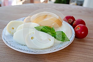 Cheese collection, variety of Italian cow milk cheese flat scamorza