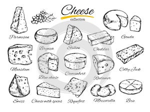 Cheese collection Vector hand drawn illustration of cheese types