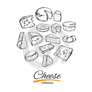 Cheese collection. Vector hand drawn illustration of cheese types