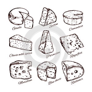 Cheese collection. Vector Hand drawn illustration of cheese types .