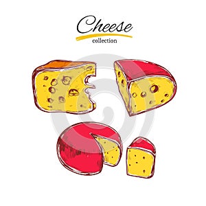Cheese collection. Vector Hand drawn illustration of cheese types . Colorful