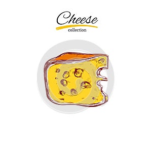 Cheese collection. Vector Hand drawn illustration of cheese types . Colorful.