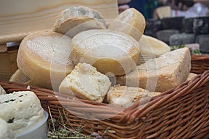 Cheese on the counter of the store