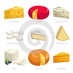 Cheese different types. Maasdam, edam, roquefort, mozzarella, brie, parmesan, feta, gouda etc. Dairy products icons.