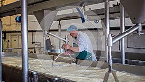 A Cheese factory employee making curd