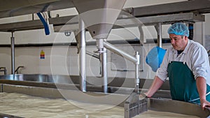 A Cheese factory employee making curd