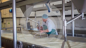 A Cheese factory employee making curd