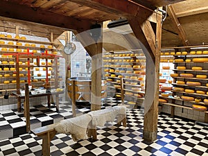 Cheese Factory Shop in Zaanse Schans, Netherlands