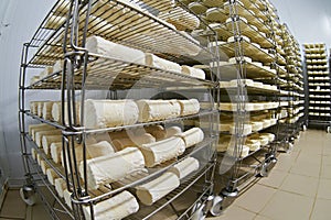 Cheese factory warehouse with shelves of product photo
