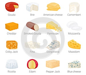 Cheese Flat Icon Set vector illustration photo