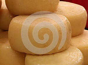 cheese forms called Caciotta in Italian