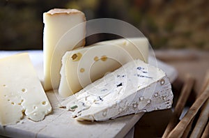 Cheese and Grissini
