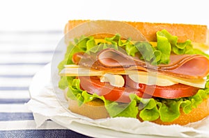 Cheese and ham sandwich with fresh vegetables and mayonnaise