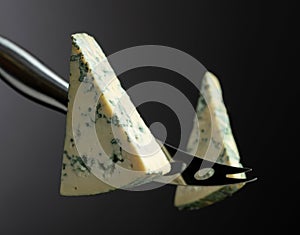 Cheese knife and piece of blue cheese