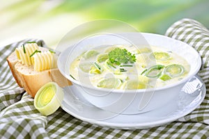 Cheese and leek soup