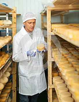 Cheese maker controlling maturing process of cheese wheels