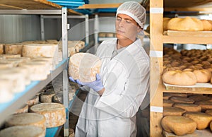 Cheese maker controlling maturing process of cheese wheels