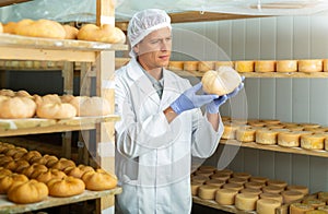 Cheese maker controlling maturing process of cheese wheels