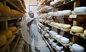 Cheese maker at the storage with shelves full of cow and goat cheese