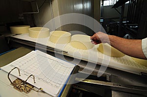 Cheese making in industrial food production