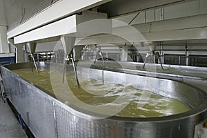 Cheese making machine in modern dairy